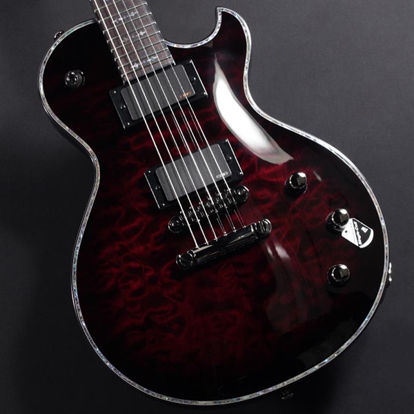 SCHECTER HELLRAISER SOLO-II [AD-SOLO-HR/II] (BCHB) ｜イケベ楽器店