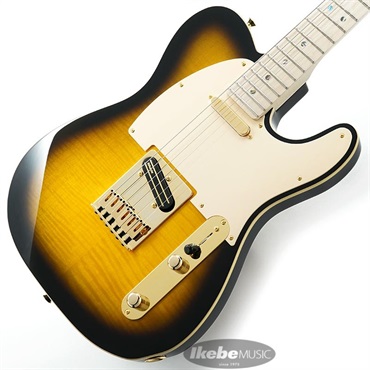 Ritchie Kotzen Tele (Brown Sunburst)