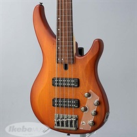 【入荷待ち、ご予約受付中】IKEBE Mod. TRBX505 FL (BRB) [フレットレス]