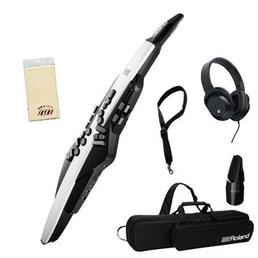 Roland AE-20 Aerophone スタンド付きΩ