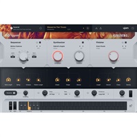 【UJAM Summer Sale 2025！】Usynth CARAMEL (ユージャム)(ユーシンセ)(オンライン納品)(2時間以内に納品)