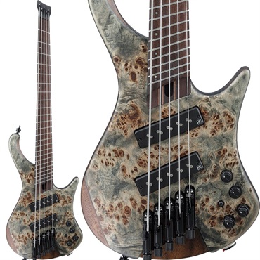 Bass Workshop EHB1505MS-BIF [SPOT MODEL]