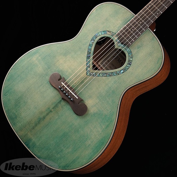 CAG-100HS-E (Forest Green)の商品画像