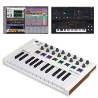 MiniLab MkII Special Set【数量限定スペシャルバンドル】【在庫処分超特価】