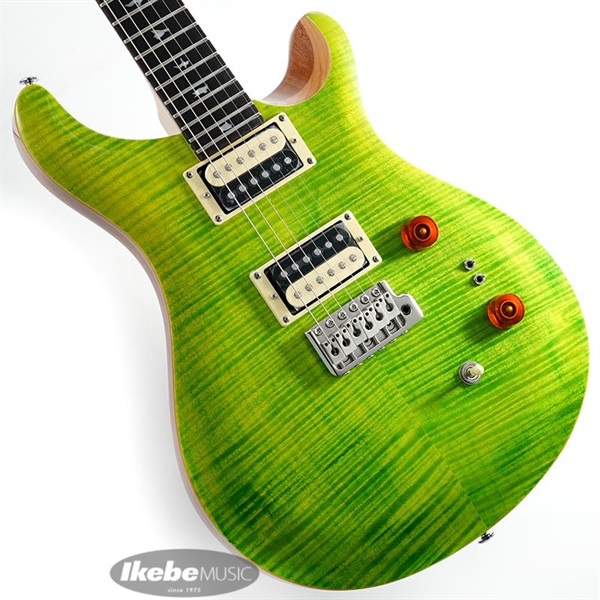 PRS SE Custom