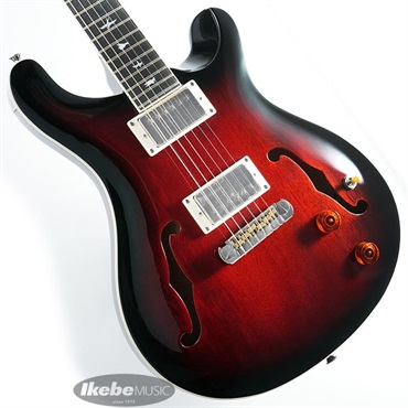 SE Hollowbody Standard (Fire Red Burst)