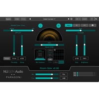 Paragon ST(オンライン納品)(2時間以内に納品)