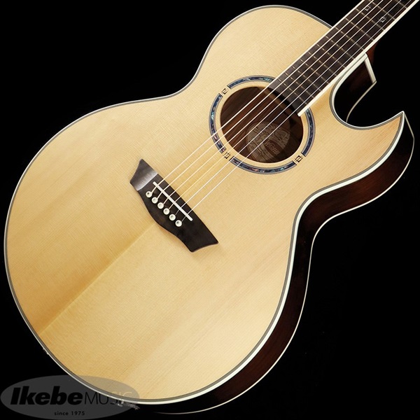 Washburn Festival Series EA20S-Nuno (Nuno Bettencourtモデル