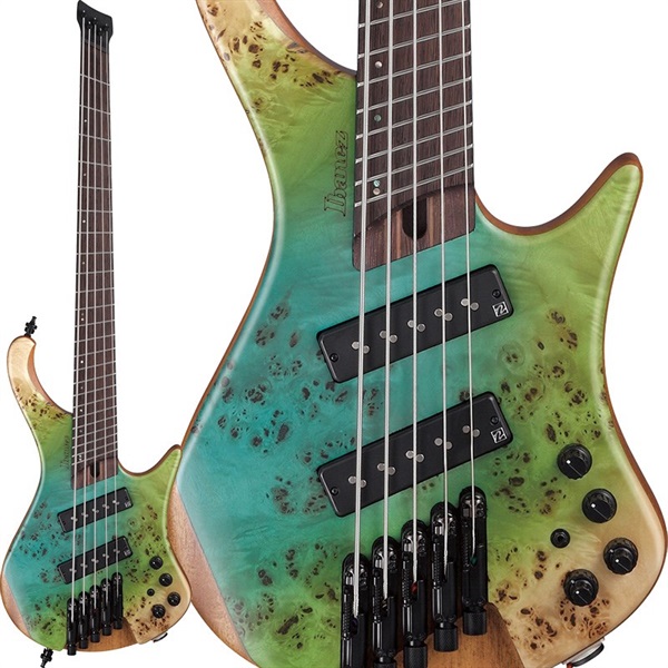 Bass Workshop EHB1505MS-OIF [SPOT MODEL]の商品画像