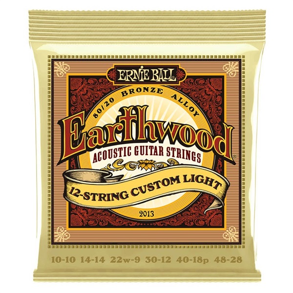 ERNIE BALL Earthwood 80/20 Bronze 12-STRING 2013 CUSTOM LIGHT （10-48 12ST）