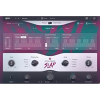 Virtual Bassist SLAP(ユージャム)(ヴァーチャルベーシスト)(オンライン納品)(2時間以内に納品)