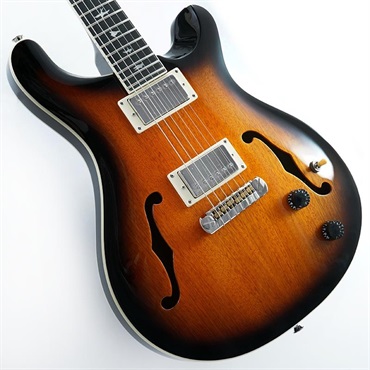 P.R.S. SE Custom 22 Semi-Hollow Quilt (Black Gold Sunburst P.R.S. SE Custom 22 Semi-Hollow Quilt (Black Gold Sunburst