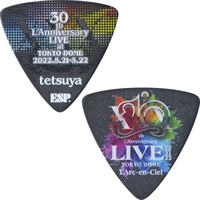 PA-LT10-30th LIVE (Black) [tetsuya Model]