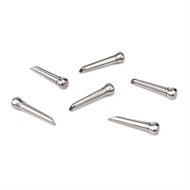 PLANET WAVES Planet Waves Titanium Bridge Pins [PWPS13]