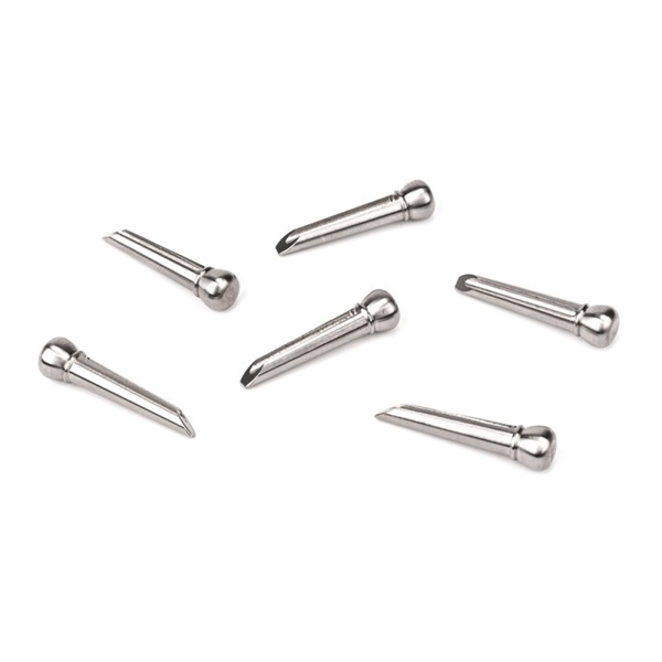 PLANET WAVES Planet Waves Titanium Bridge Pins [PWPS13]
