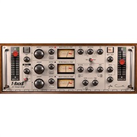 T-RackS Joe Chiccarelli Vocal Strip(代引不可)(オンライン納品)