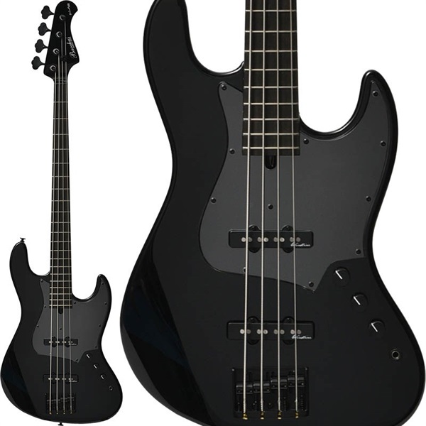 Bacchus IKEBE ORIGINAL WOODLINE417 ALL BLACK ｜イケベ楽器店