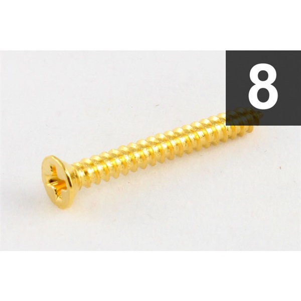 ALLPARTS 【創業50周年大決算SALE】 Pack of 8 Gold Humbucking Ring Screws [7564]