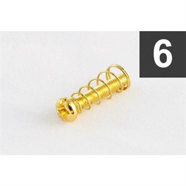 【PREMIUM OUTLET SALE】 Pack of 6 Gold Metric Bridge Length Screws [7532]