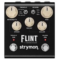 FLINT V2