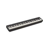 FP-10 [FP-10-BK](中古特価品)※配送事項要ご確認