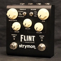 FLINT V2