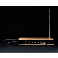 Etherwave Theremin(MG EW THEREMIN)(テルミン)