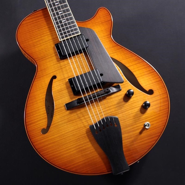 Sadowsky Guitars Archtops Series SS15 2HB (Violin Burst) A1976 ｜イケベ楽器