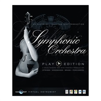 Symphonic Orchestra Platinum(代引不可)(オンライン納品)