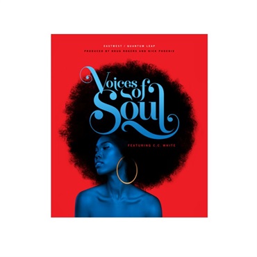 Voices of Soul (イーストウエスト)ソフトウェア (代引不可)(オンライン納品)