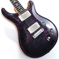 McCarty Purple Iris #0346803
