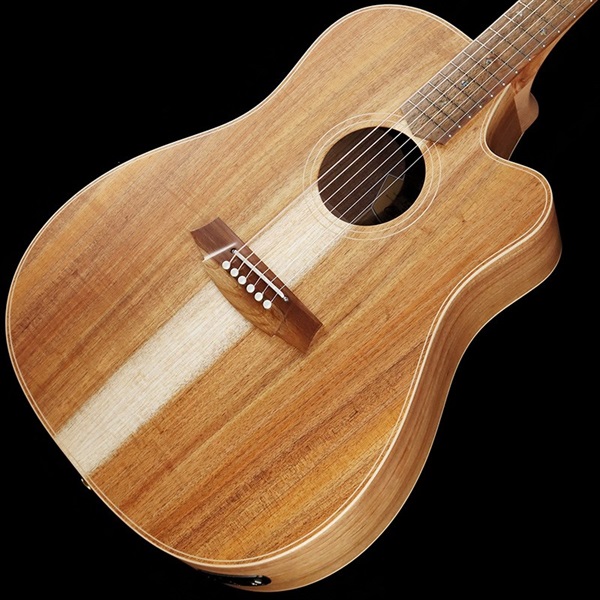 Cole Clark CCFL2EC-BLBL ｜イケベ楽器店