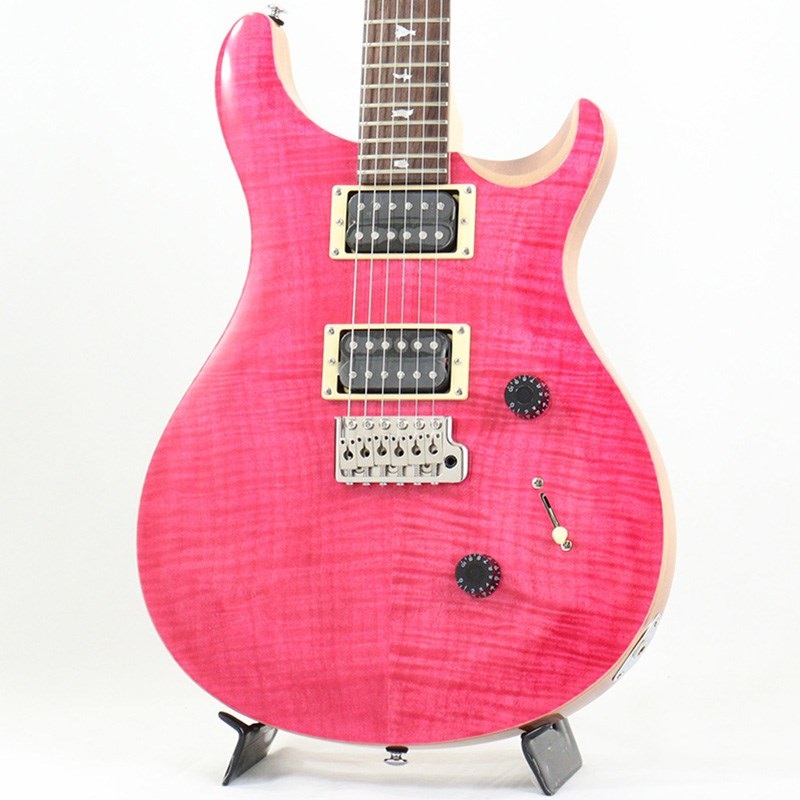 PRS SE Custom