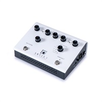 DEPT. 10 AMPED 1【在庫処分超特価】