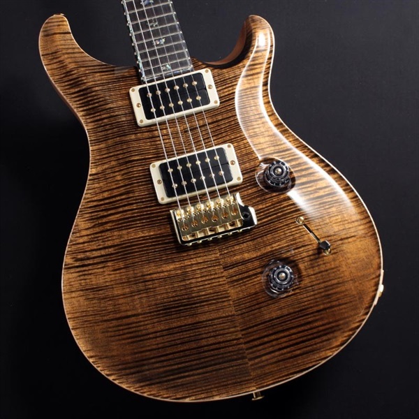 Ikebe Original Wood Library Custom24 McCarty Thickness Espresso #0340441の商品画像