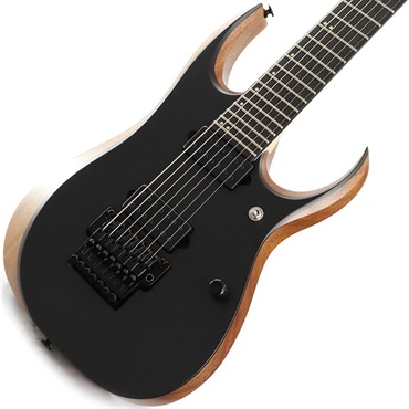 Ibanez RG421PB-SBF ｜イケベ楽器店オンラインストア