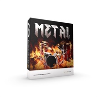 【エクスエルエヌオーディオ2025サマーセール】ADpak Metal (代引不可)(オンライン納品)