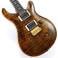 Ikebe Original Wood Library Custom24 McCarty Thickness Tiger Eye #0340355