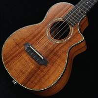 T4CBC Custom w/PU 【USED】