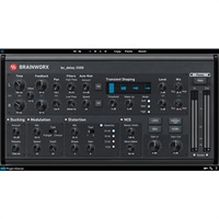 Brainworx bx_delay 2500(オンライン納品)(2時間以内に納品)