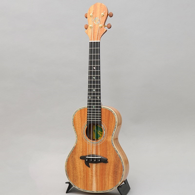 BIG ISLAND KX-CTG ビッグアイランド
