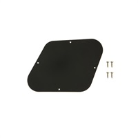【再値下げ 決算SALE】Control Plate (Black) [PRCP-010]