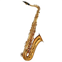 【お取り寄せ品】テナーサックス アンティグア PRO ONE プロワン TS6200
