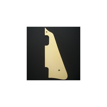 Time Machine Collection  56 LP pickguard relic [382]