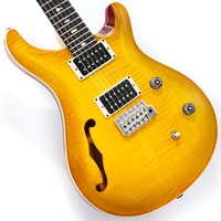 CE 24 Semi-Hollow (McCarty Sunburst) #0346488