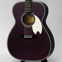 アコースティック・エレアコギター アコースティックギター Headway 