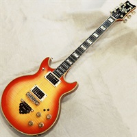 AR-300CS '81
