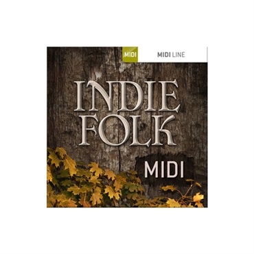 TOONTRACK DRUM MIDI - INDIE FOLK(オンライン納品)(2時間以内に納品)