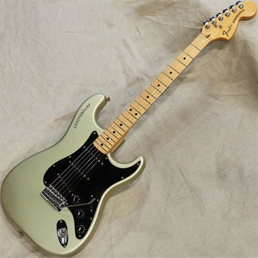 Stratocaster 25th Anniversary '79 Silver/M