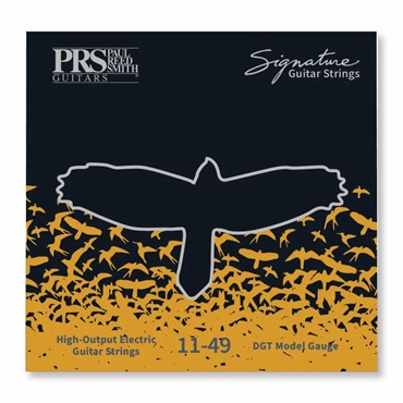 P.R.S. Signature David Grissom Guitar Strings 11-49
